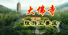 淫女的骚逼中国浙江-新昌大佛寺旅游风景区